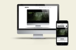 MANEMO Website 2017 responsive